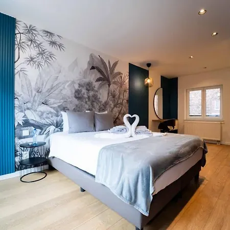 Luxury Duplex Coeur De 64-3 * Mons