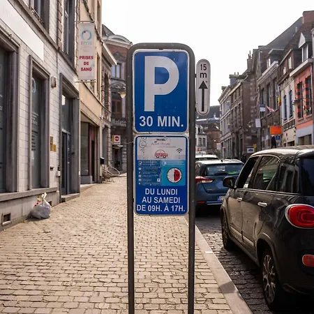 Luxury Duplex Coeur De 64-3 דירה מונס